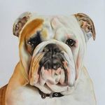Profile Picture of Stephanie Enright (@stephanie.enright) on Instagram