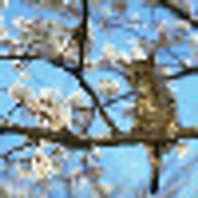 Profile Picture of Bret Cote (@3191924l) on Twitter