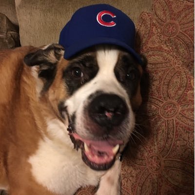 Profile Picture of Jeff Brecht (@@jbrecht101) on Twitter