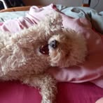 Profile Picture of Paola Savoy (@paola.savoy.39) on Facebook