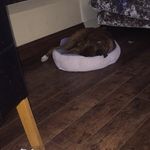 Profile Picture of Dillon Kirby (@dillon_kt3) on Instagram