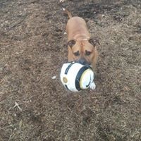 Profile Picture of Tim Huggins (@tim-huggins-7) on Quora