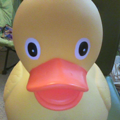 Profile Picture of Matthew The Duck (@lfmquizduck) on Twitter