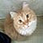 Profile Picture of Tarah Reckard (@~~~stillwater~~) on Flickr