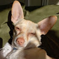 Profile Picture of Jozee Hurtgen (@jozee-hurtgen) on Quora