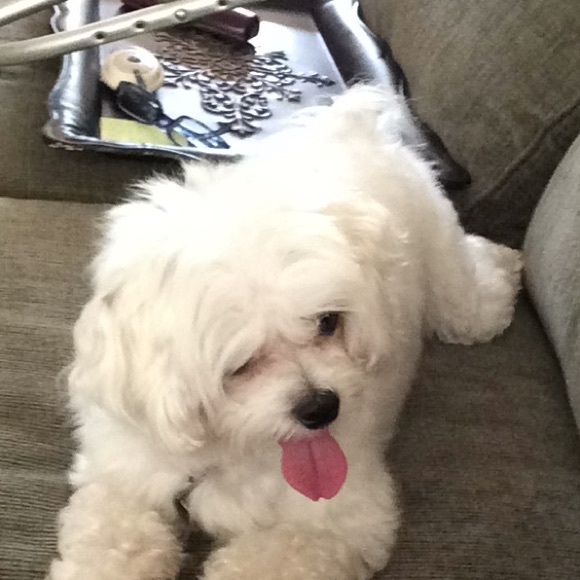 Profile Picture of Paula Hall (@pougan) on Poshmark