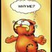 Profile Picture of Craig Gentile (@craiggentile1970) on Pinterest