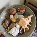 Profile Picture of Evelyn Gregg (@evelyn.gregg.969) on Facebook