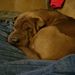 Profile Picture of Travis Adamson (@adams6187) on Pinterest