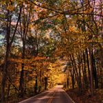 Profile Picture of Gunnar Hanson (@ghanson719) on Instagram