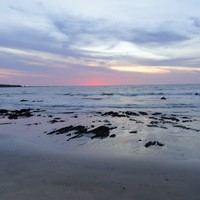 Profile Picture of Renee Menjivar (@renee-menjivar) on Quora