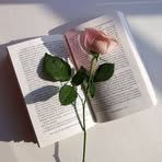 Profile Picture of Suzan Omar (@Suzan-Omar) on Facebook