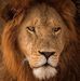 Profile Picture of Eric Thornquist (@eric.thornquist.5) on Facebook