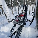 Profile Picture of Matthew Montie (@matthew_montie) on Instagram