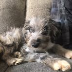 Profile Picture of Jeremy Wells (@Jeremy-Wells) on Facebook