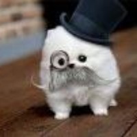 Profile Picture of Mimi Feng (@mimi-feng) on Quora