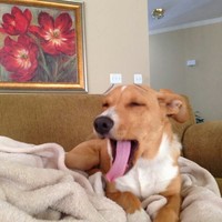 Profile Picture of Katelyn Pearson (@katelyn-pearson-1) on Quora