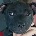 Profile Picture of Kaliyah Dainer (@Kaliyah-Dainer) on Facebook