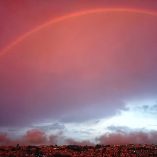 Profile Picture of Jose Bera (@josebera1) on Instagram