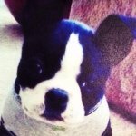 Profile Picture of Lucille 