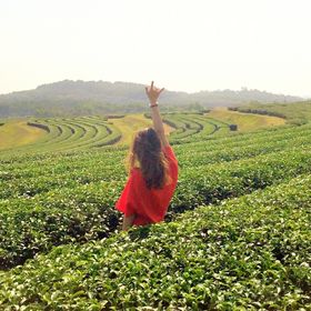 Profile Picture of Tacha Vongvanich (@berrysherbet) on Pinterest