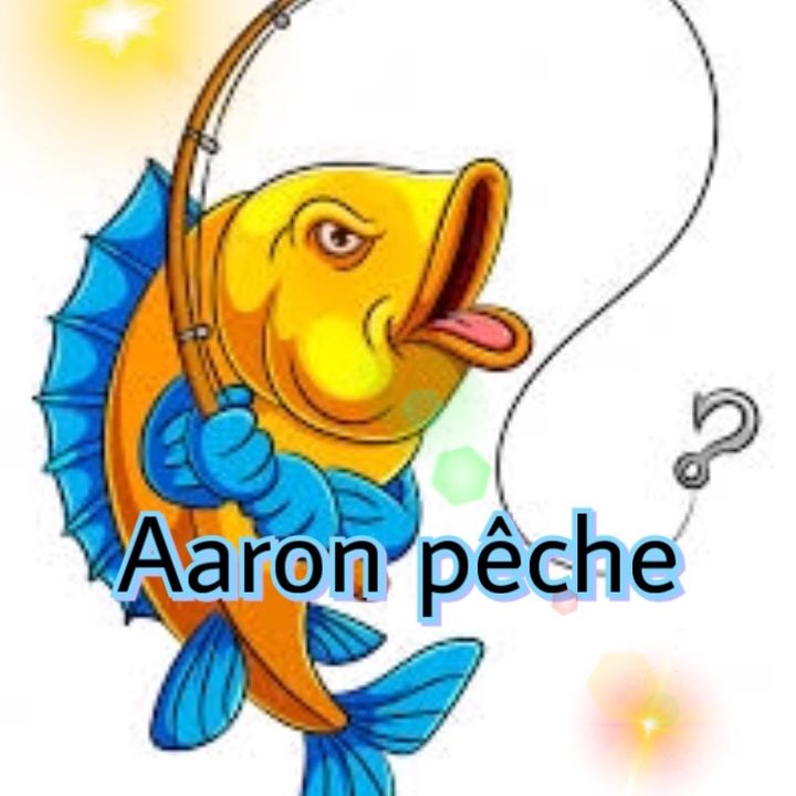 Profile Picture of Aaron (@aaronpeche) on Tiktok