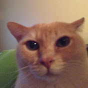 Profile Picture of Jason Ferraro (@jasonferraro349) on Youtube