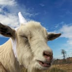 Profile Picture of Jessica Leet (@jessica.ogle.355) on Facebook