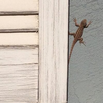 Profile Picture of David Chaston (@24thedoc) on Twitter