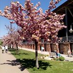 Profile Picture of Peter Lenz (@peter.lenz.31508) on Instagram