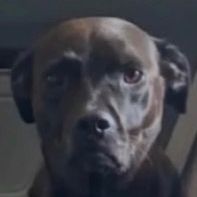 Profile Picture of Clayton Way (@claytonway0) on Tiktok