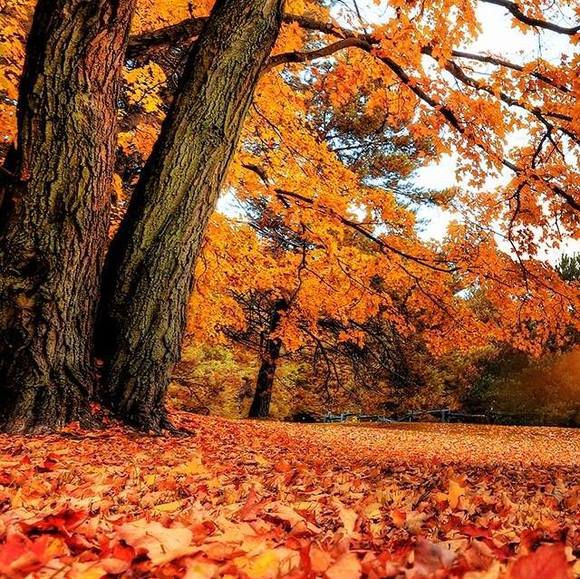 Profile Picture of Abby Lowe (@abbylowe895) on Poshmark