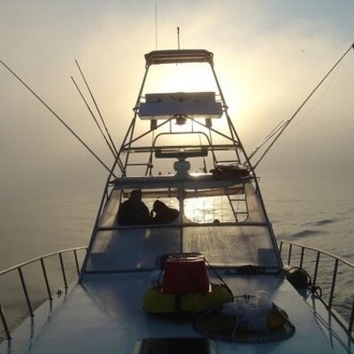 Profile Picture of Andrew Seif (@andrewseif) on Twitter