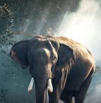 Profile Picture of Jose Lizarraga (@Jose-Lizarraga) on Facebook