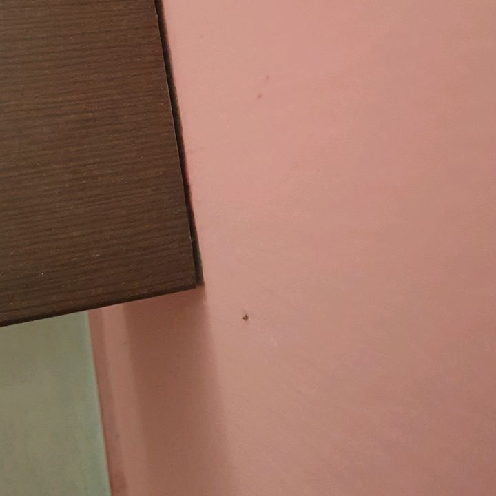 Profile Picture of redrobert (@redrobert12) on Tiktok