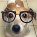 Profile Picture of Craig Best (@77hamburgers) on Pinterest