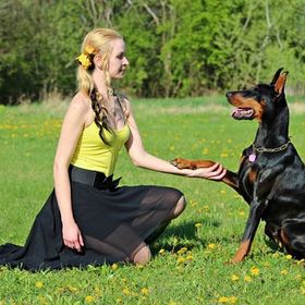 Profile Picture of Stacymatson (@stacymatson1665) on Pinterest