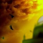 Profile Picture of ahmad bilal (@ahmad.b.laal) on Instagram