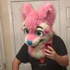 Profile Picture of Kippcoon (@kippcoon) on Tiktok