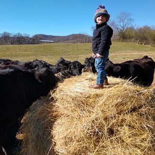 Profile Picture of Jonathan Mabe (@jonathan.mabe.39) on Facebook