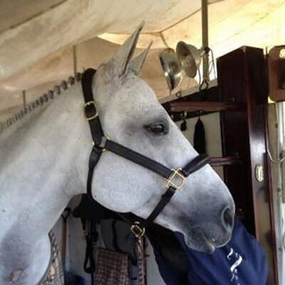 Profile Picture of Louise Spheeris (@123Spheeris) on Twitter