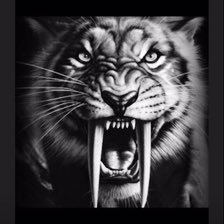 Profile Picture of Andrew Reay (@AndrewReay4) on Twitter