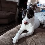 Profile Picture of Lisa Spear (@Lisa-Spear) on Facebook