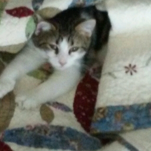 Profile Picture of Christine Binversie (@christine2447) on Poshmark