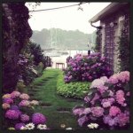 Profile Picture of Peter Rudge (@petrude) on Instagram