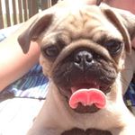 Profile Picture of Henry Steven Prather (Hank) (@hankprather) on Instagram