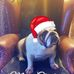 Profile Picture of Dawn Boyd (@dawn.boyd.988) on Facebook