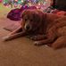 Profile Picture of Lori Grobaker (@lori.grobaker.7) on Facebook