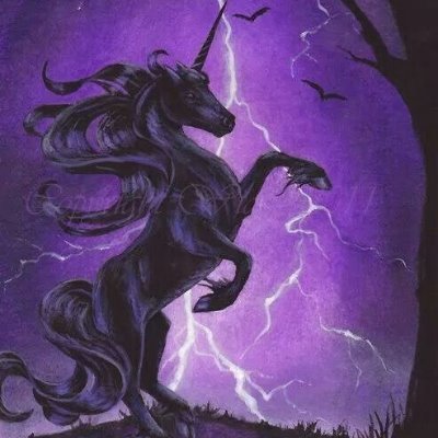 Profile Picture of Kirsten Shull (@K_Shull) on Twitter
