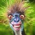 Profile Picture of Darrell Luebbe (@darrell.luebbe) on Facebook